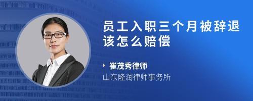 工廠工作三個月被解雇，如何依法爭取賠償？